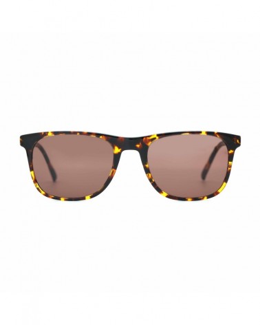 Lunette de Soleil Alevin Tortoise Face