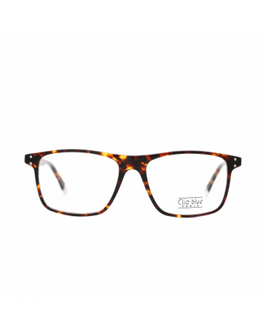 Monture de Lunette Glaseel Tortoise Face